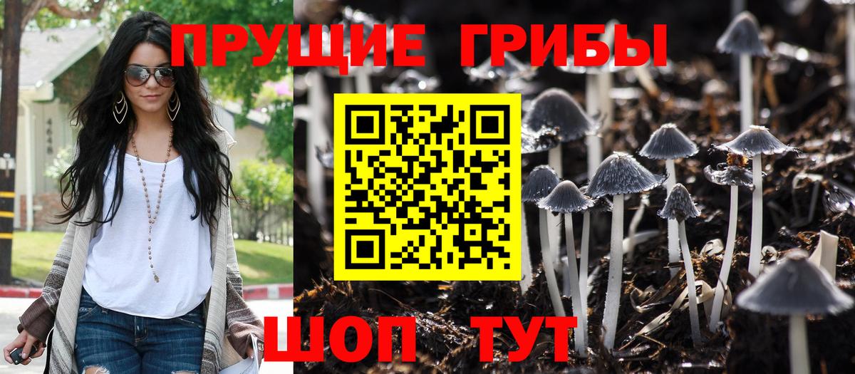 Галлюциногенные грибы Cubensis  Вход с VPN  Галлюциногенные грибы GOLDEN TEACHER  Спасск-Дальний 