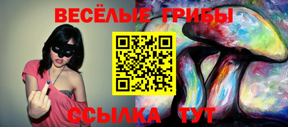Псилоцибиновые грибы ЛСД Спасск-Дальний